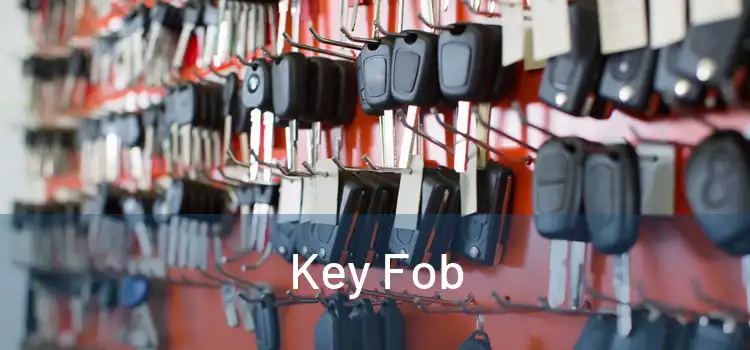  Key Fob 